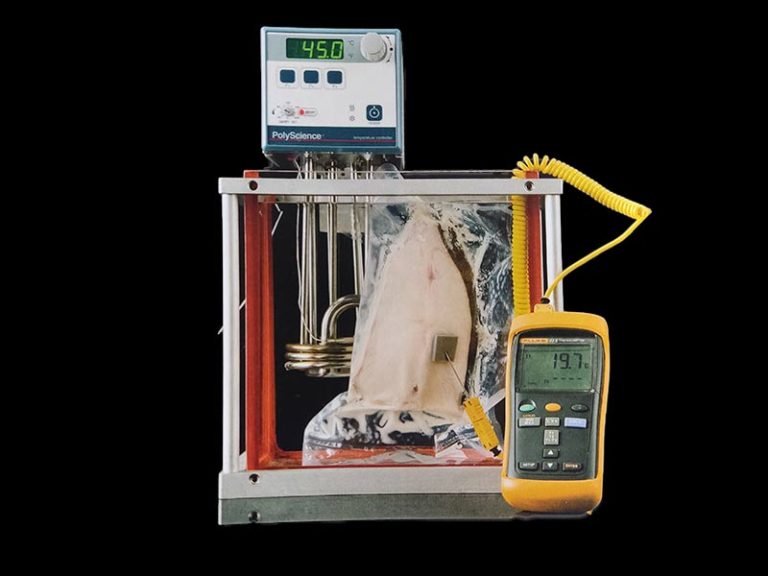 sonda temperatura sous vide vacio