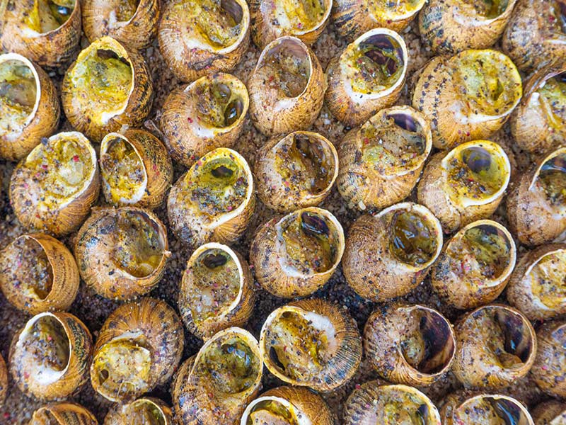 receta caracoles a la brasa, en llauna